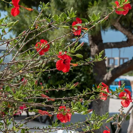 Guest house Maroulis Naxos 3*