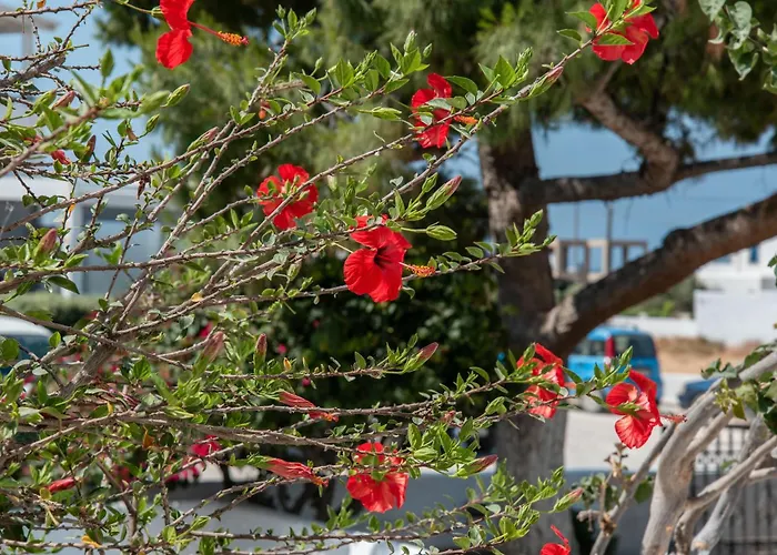 Gasthof Maroulis Naxos 3*